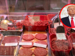 ট্রাম্পের নীতি পরিবর্তন, দুই শতাধিক খাদ্যপণ্যে শুল্ক প্রত্যাহার