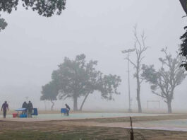 শীত নিয়ে বড় দুঃসংবাদ, তাপমাত্রা নামতে পারে ৪ ডিগ্রিতে
