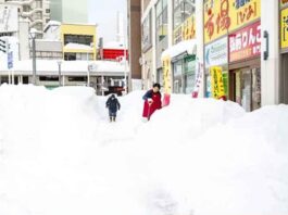 জাপানে অস্বাভাবিক তুষারপাত, মৃতের সংখ্যা বেড়ে ৩০